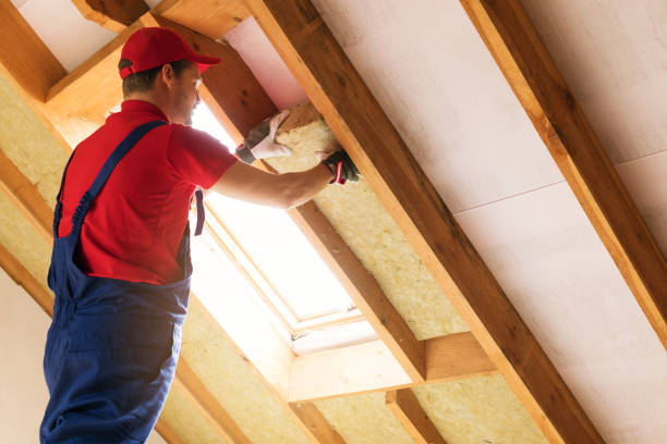 Best Insulation for New Construction  in Bolindale, OH